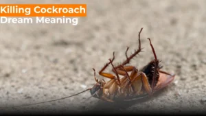 Read more about the article 367 Killing Cockroach in Dream Meaning Everything You Need To Know For 2025