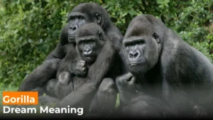 Read more about the article 298 The Biblical Meaning of Gorilla in a Dream: Unlocking the Beast Within For 2025