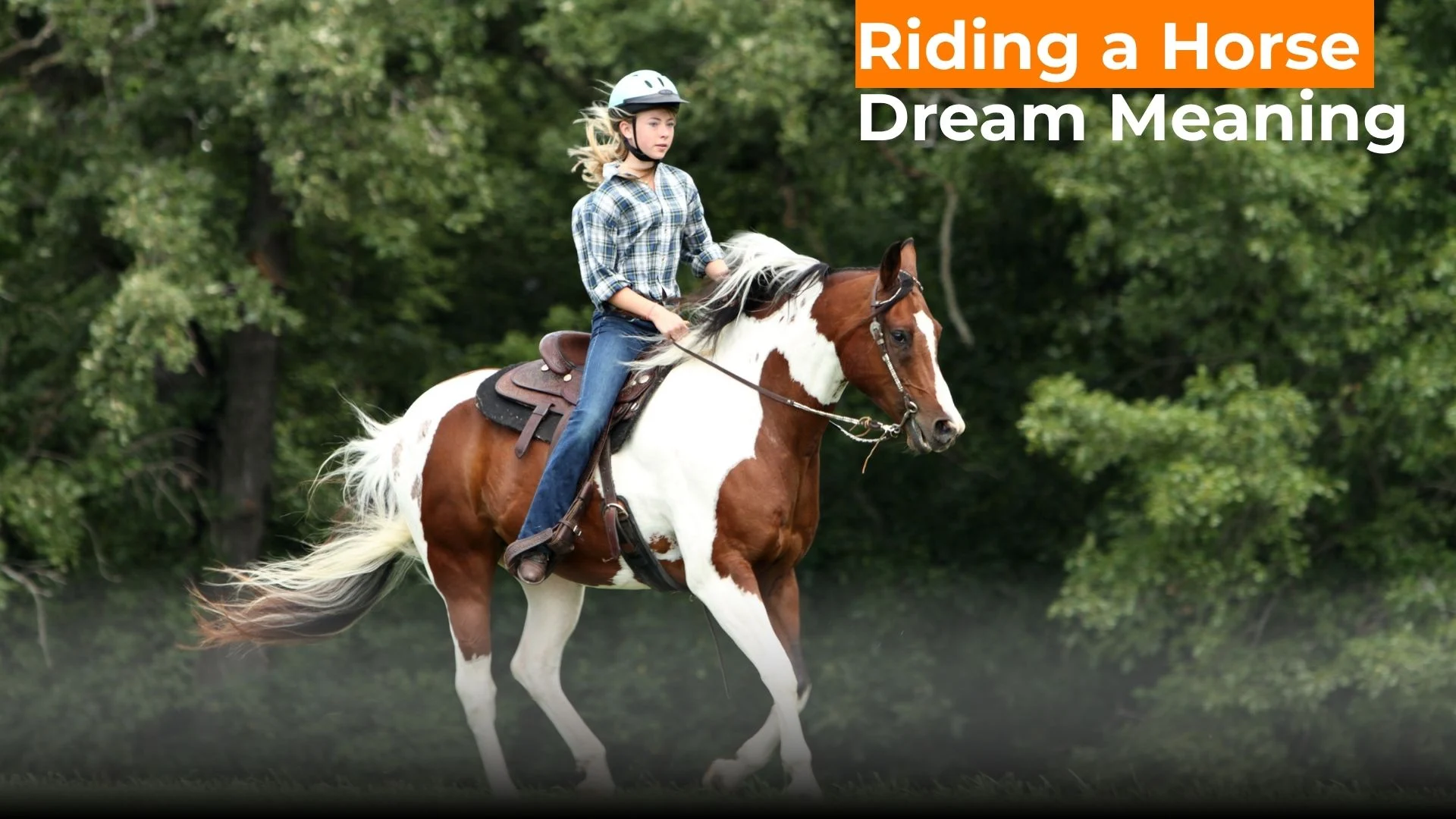 Read more about the article 556 Riding a Horse Dream Meaning: What Your Soul Is Trying to Tell You For 2025