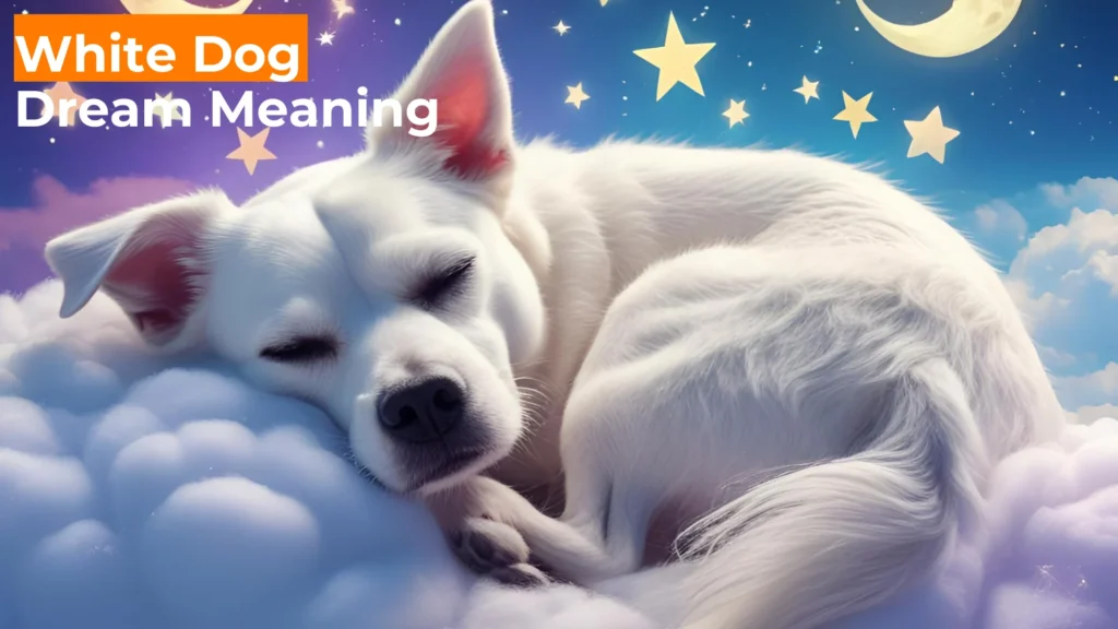 499 White Dog Dream Meaning: Unlocking Spiritual, Emotional, and Life Path Insights For 2025