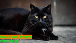 Read more about the article 🐈‍⬛ Black Cat Dream Meaning: Unlocking Symbolism, Psychology & Spiritual Insights For 2025
