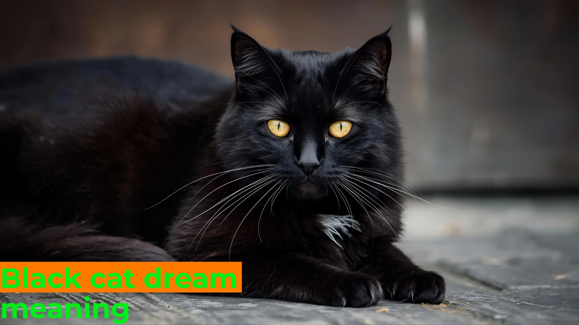 Read more about the article 🐈‍⬛ Black Cat Dream Meaning: Unlocking Symbolism, Psychology & Spiritual Insights For 2025