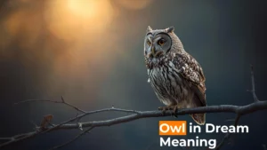 Read more about the article 🦉 Owl in Dream Meaning: Symbolism, Psychology, and Spiritual Insights For 2025
