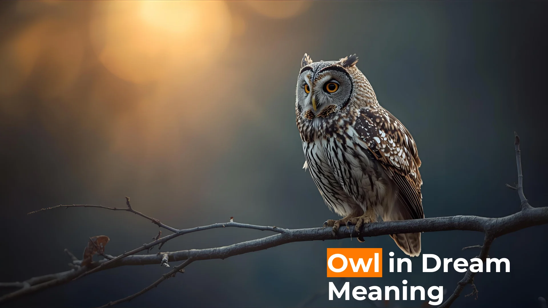 You are currently viewing 🦉 Owl in Dream Meaning: Symbolism, Psychology, and Spiritual Insights For 2025