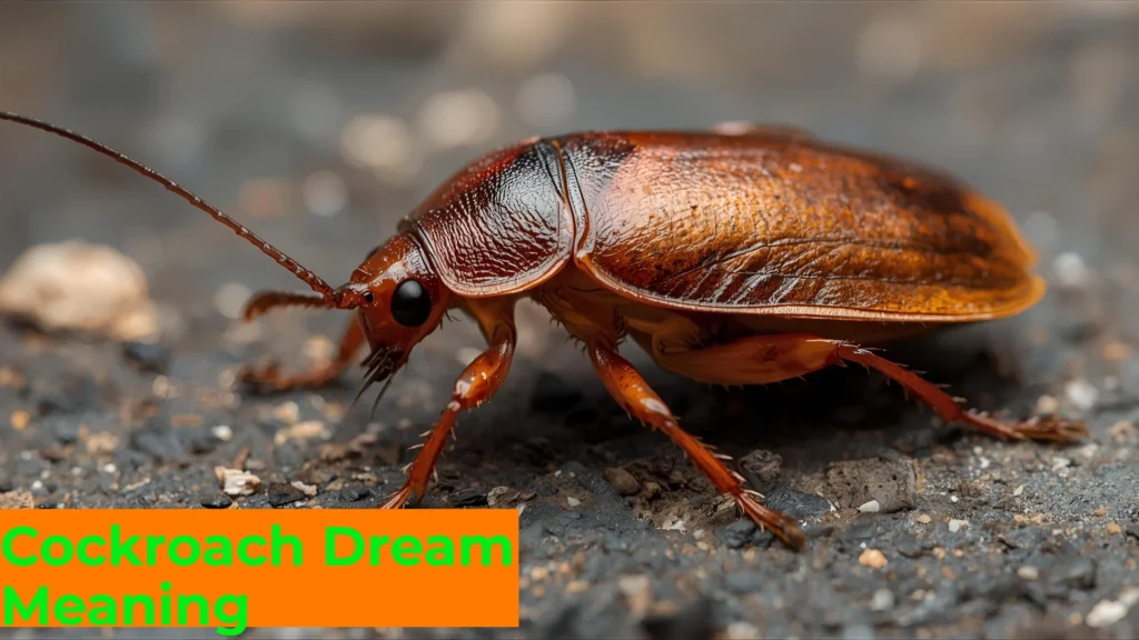 🪳 Cockroach Dream Meaning: Symbolism, Psychology & Spiritual Insights For 2025