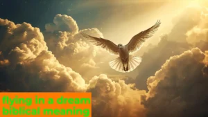 Read more about the article 🕊️ Flying in a Dream Biblical Meaning: A Complete Guide For 2025