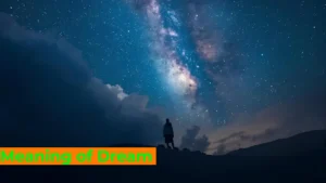 Read more about the article 🌑 Meaning of Dream: Black Shadow Attacking Me For 2025