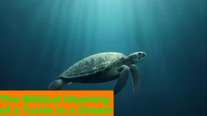 Read more about the article 🐢 The Biblical Meaning of a Turtle in a Dream: Spiritual Symbolism, Healing, and Deeper Insights For 2025