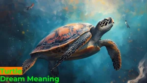 Read more about the article 🐢 Turtle Dream Meaning: Psychology and Spiritual Insight For 2025