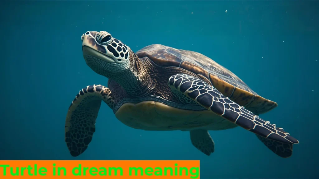 🐢 Turtle in Dream Meaning: A Deep Dive into Symbolism, Spirituality & Psychology For 2025