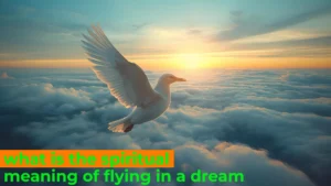 Read more about the article 🌌 What Is the Spiritual Meaning of Flying in a Dream? A Complete Guide For 2025