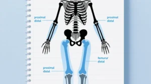 Read more about the article Proximal Meaning Explained Clearly 🧠📝 2025